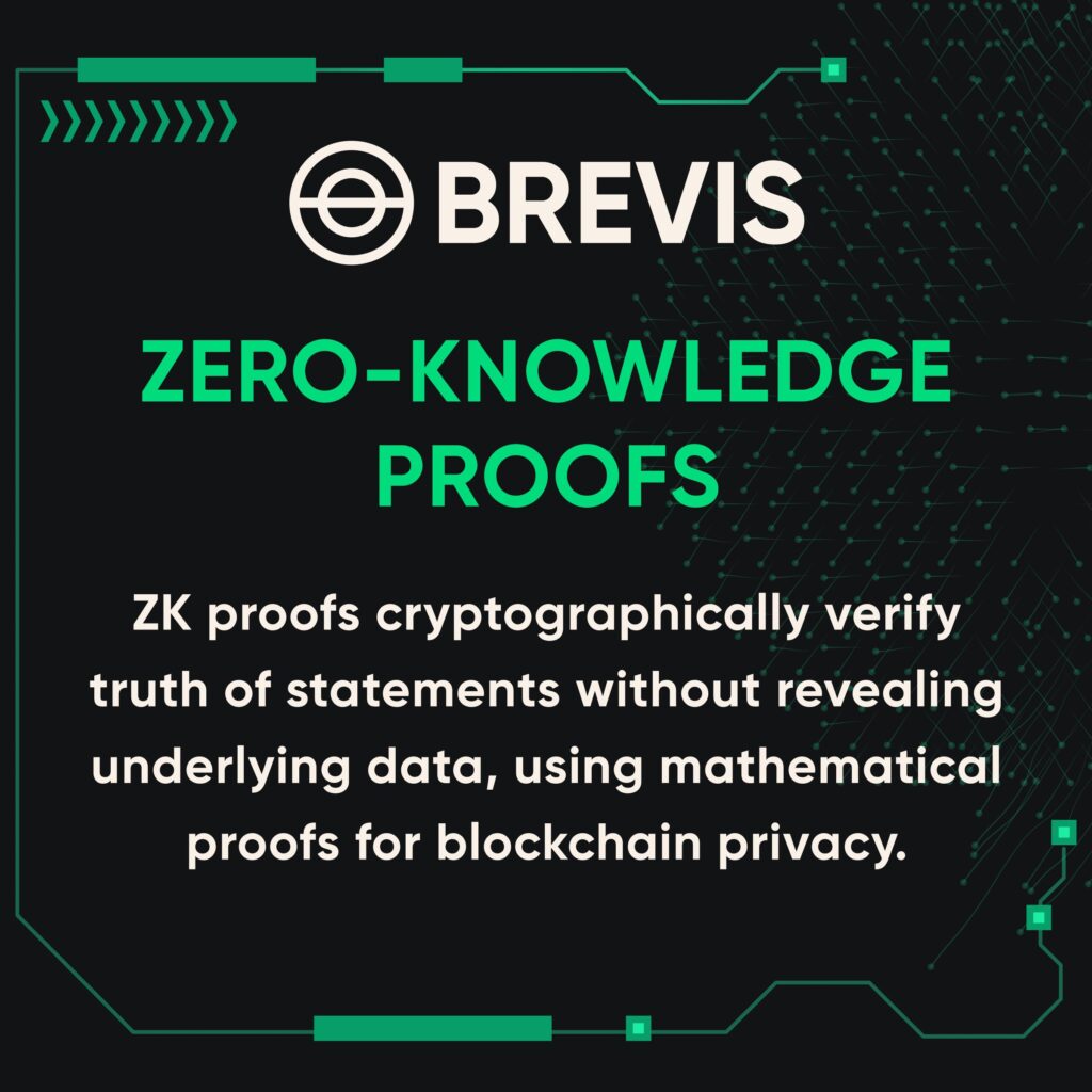 Brevis ZK-Powered Reward Program